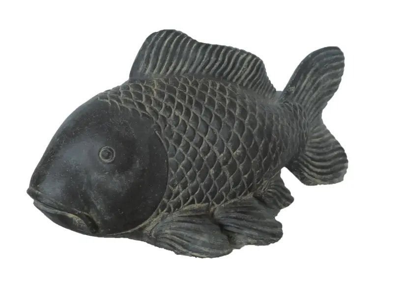 Product image 4 of the product “Koi carp , 75cm Length 75 cm”